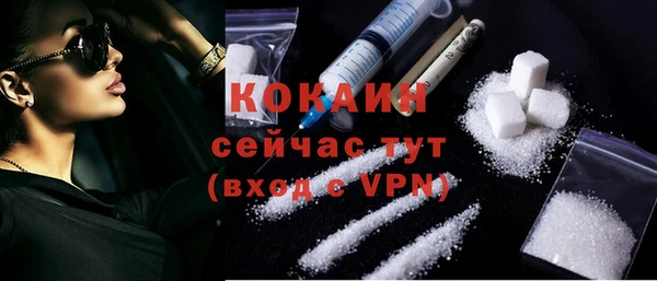 тгк Дмитриев