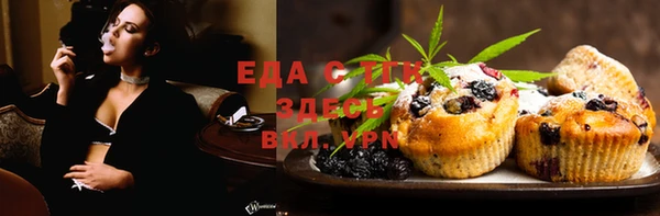 тгк Дмитриев