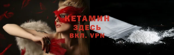 тгк Дмитриев