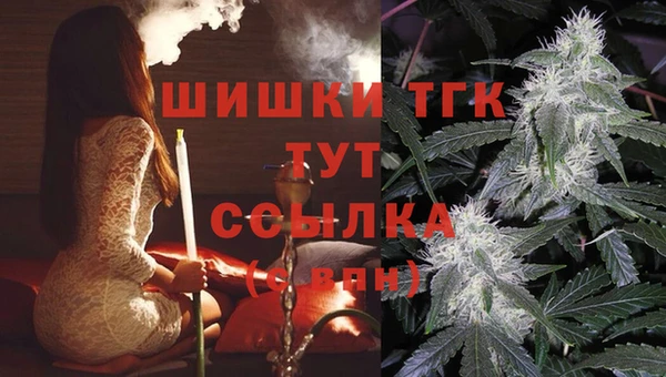 ПСИЛОЦИБИНОВЫЕ ГРИБЫ Елизово