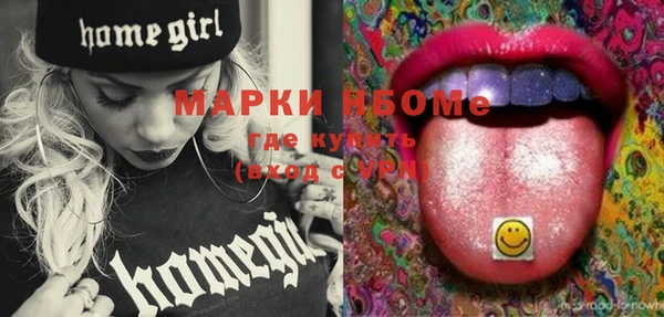 тгк Дмитриев