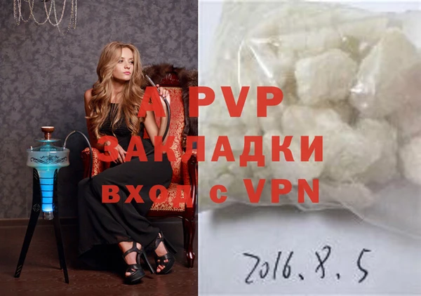 ПСИЛОЦИБИНОВЫЕ ГРИБЫ Елизово