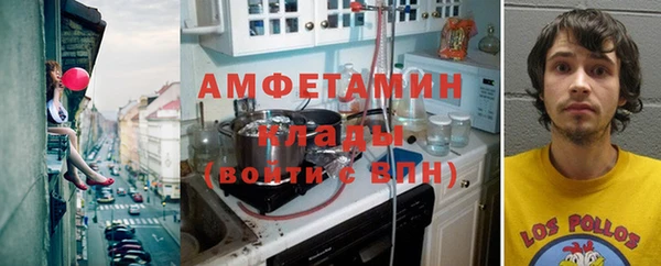 ПСИЛОЦИБИНОВЫЕ ГРИБЫ Елизово